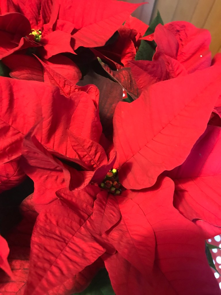 lnVALEwyRX6AOnk294olhQ