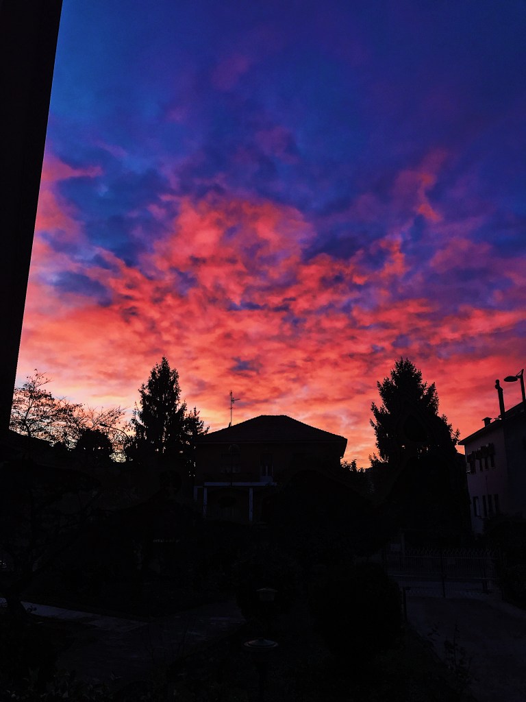 Processed with VSCO with g3 preset