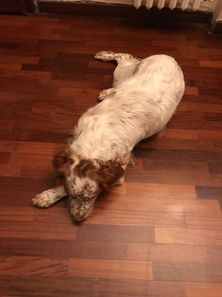 G0Podc3uS16iPfWHNW0Zyg