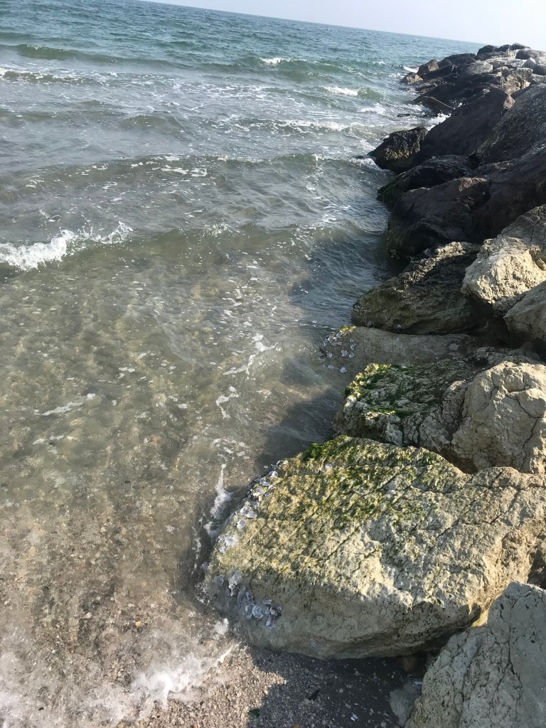 b%BzTCbxQkuTOwf8y%4SCA