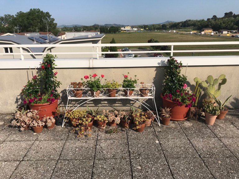 X44Z55kLTmOTzpExuAYLSA