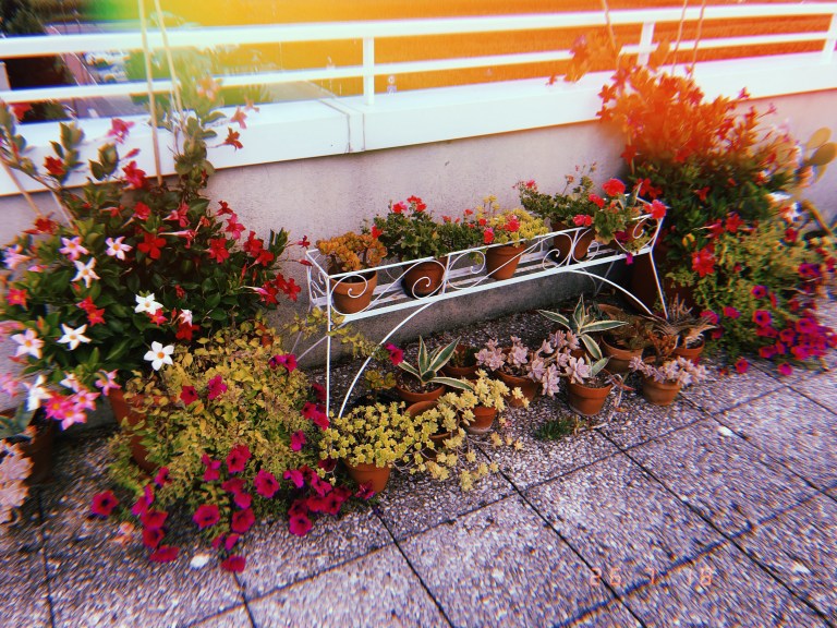 2018-07-26 18:45:48.831