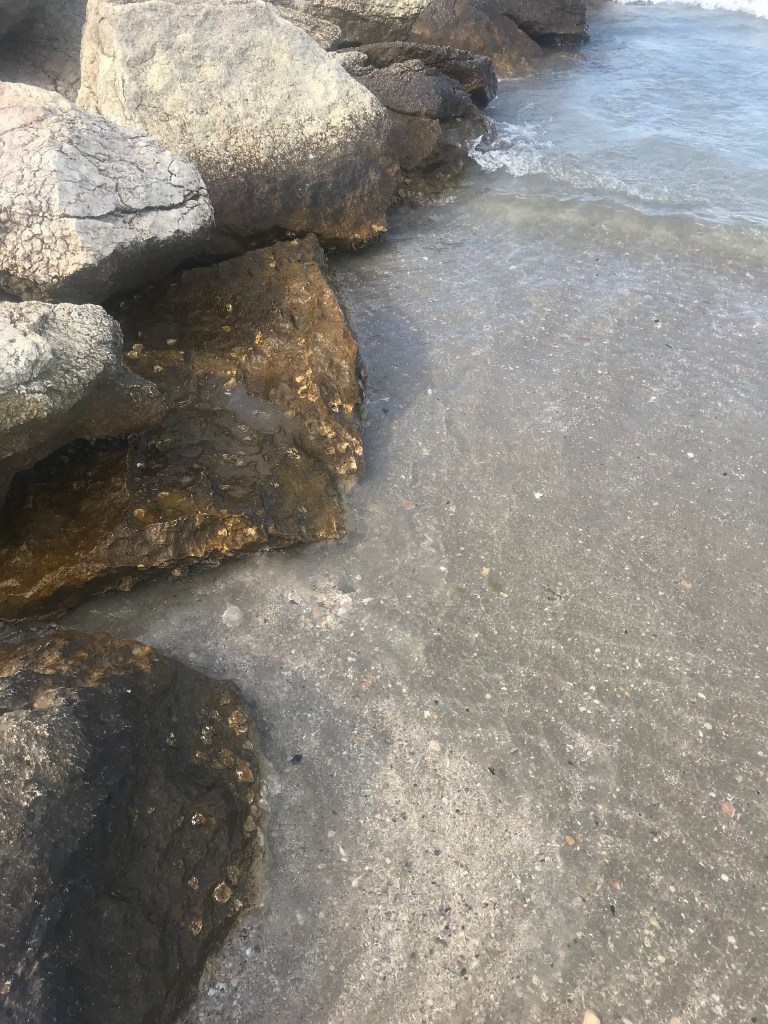 XHSOo3pGR1C3rAoBqcT5Iw